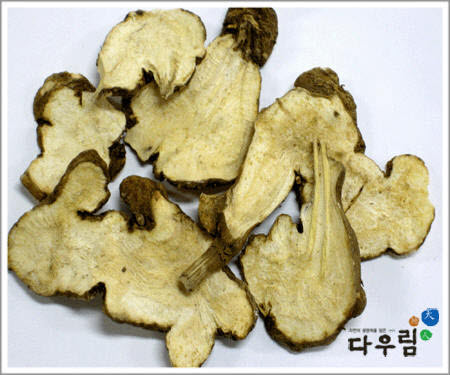 백출(기원) 1kg